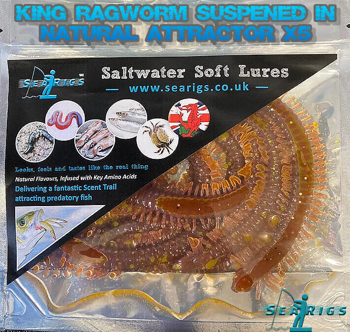 KING RAGWORM SUSPENDED IN NATURAL FLAVOURED ATTRACTOR ( X5 ) SEA FISHING LURES