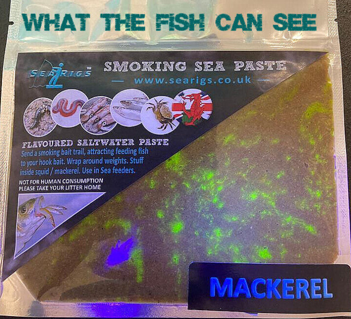 Sea Fishing Bait Paste UV - Mackerel - Black Lugworm - Peller Crab - You Choose