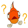 Do fish have fish memory