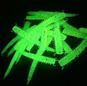 Sea Glow 2" Baby Ragworm x24 - Glow in the Dark and U.V Lures