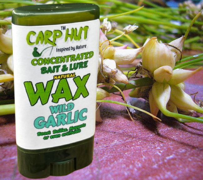 WILD GARLIC Concentrated Natural  Hook Bait & Lure WAX Carp & Coarse Fishing