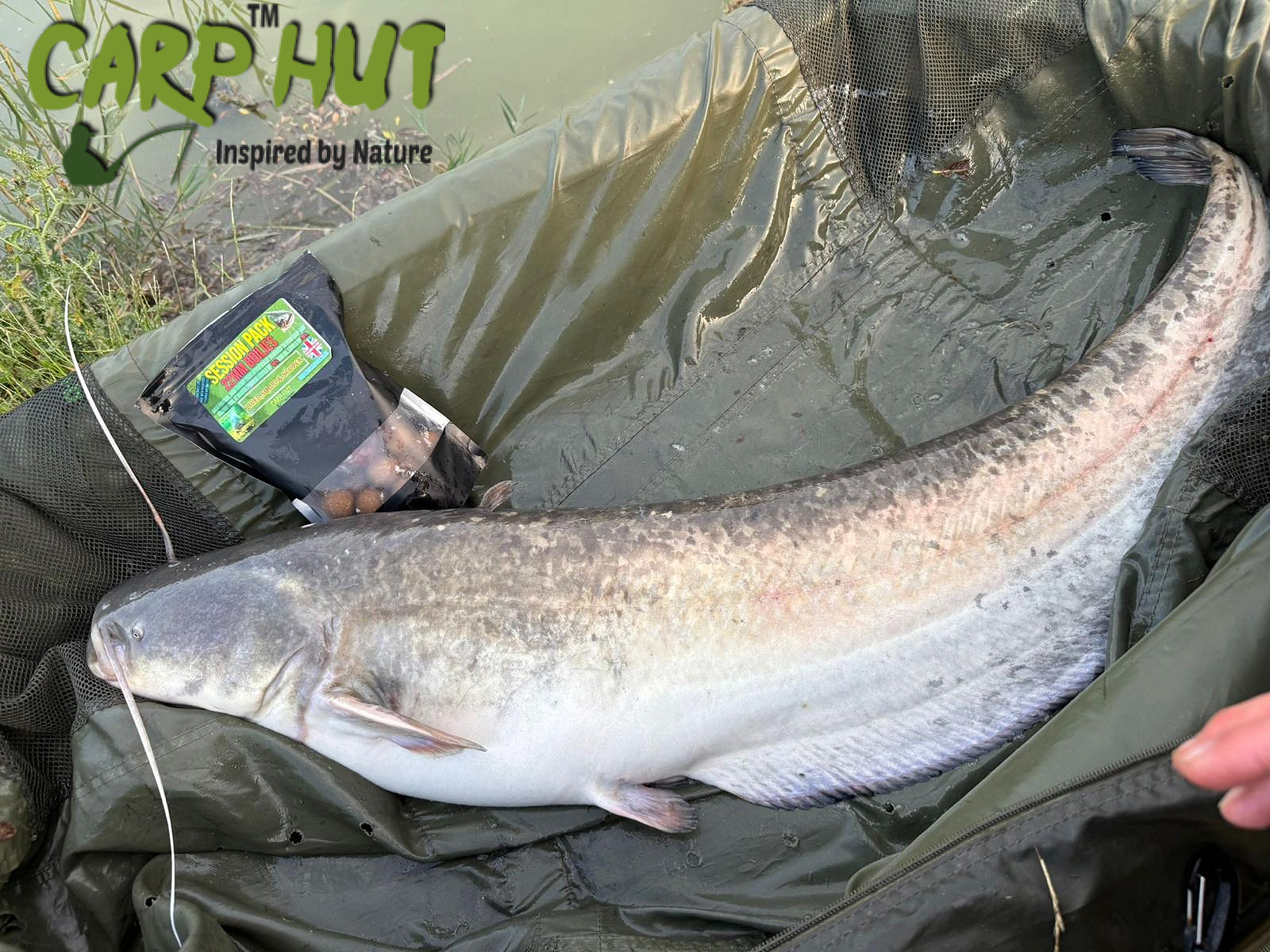 SPICY SQUID & GARLIC 22mm BOILIES & GLUG LARGE SESSION PACK 30/33 CATFISH & CARP - Image 5