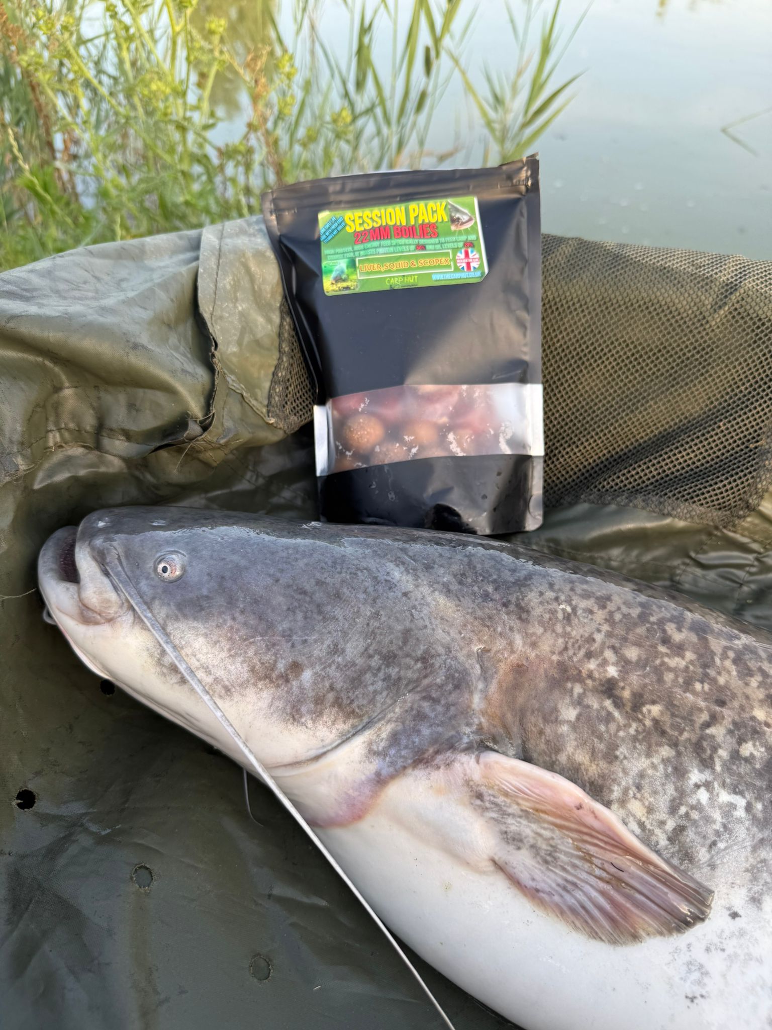 SPICY SQUID & GARLIC 22mm BOILIES & GLUG LARGE SESSION PACK 30/33 CATFISH & CARP - Image 4